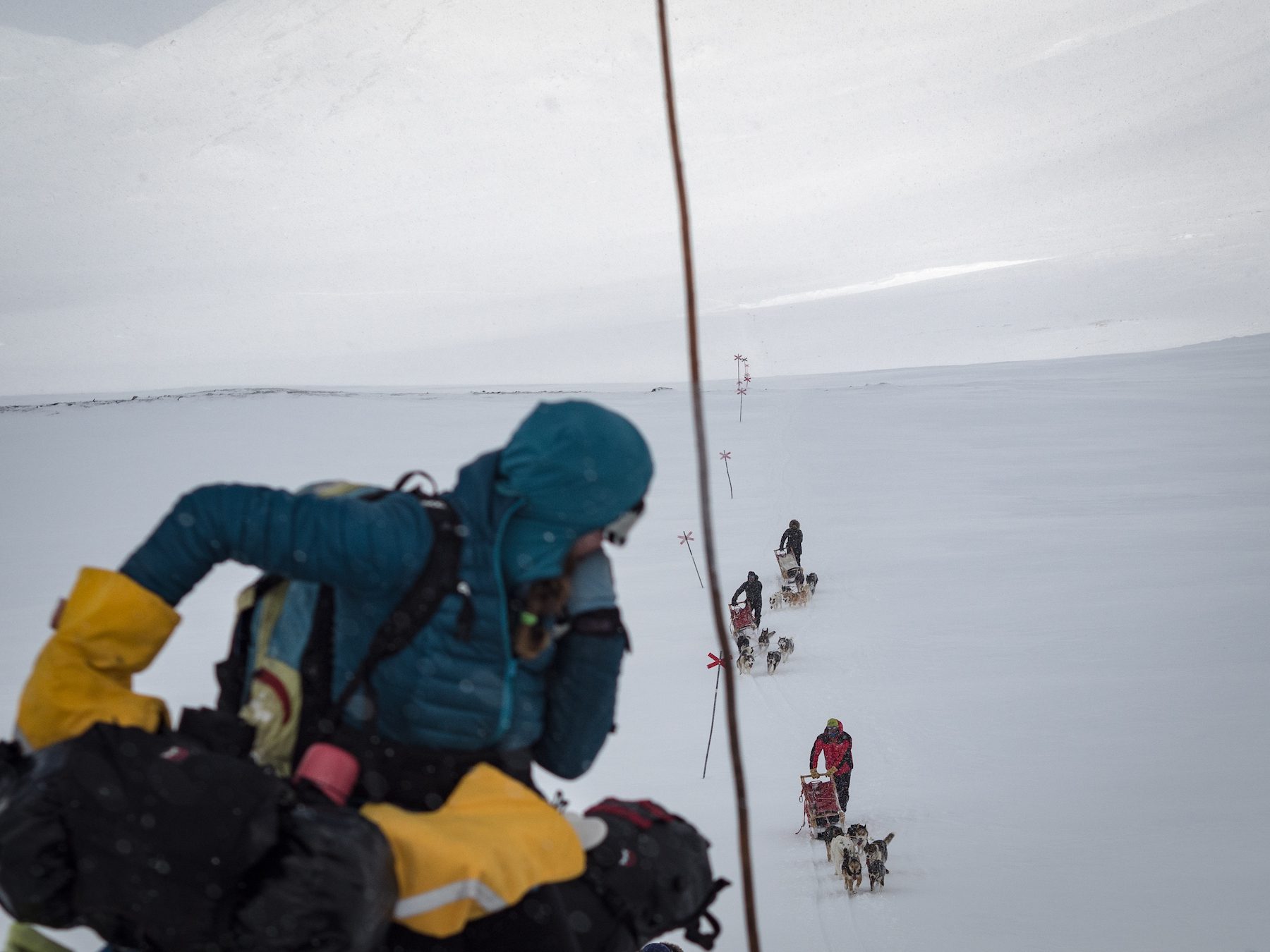 "We met the dogs the day we traveled over a high pass, swamped with deep snow. We had pushed our bikes on and off for several hours, when these guys appeared behind us. The dog teams move so easily, devouring the distance and, before long, they skidded to a halt next to us. Though slightly bemused by our bikes, the guide was positive about our efforts. He mentioned further down the valley, the scoured landscape wasn't good for his dogs and so left us with confidence that things were soon to improve for us." ~Annie Le Evans