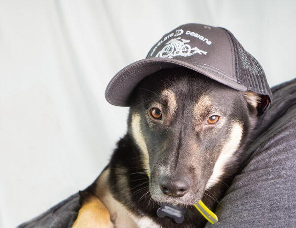 Trucker Hat
